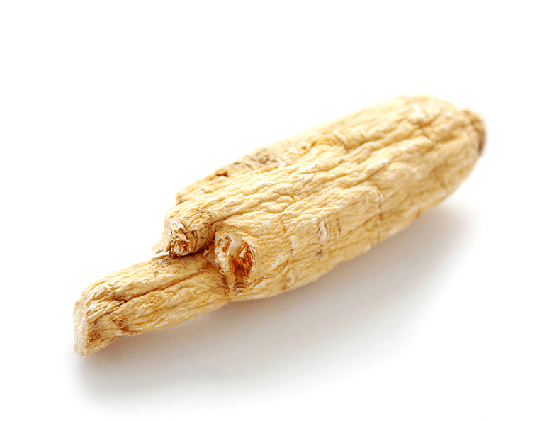 Radice di Aralia per potenza